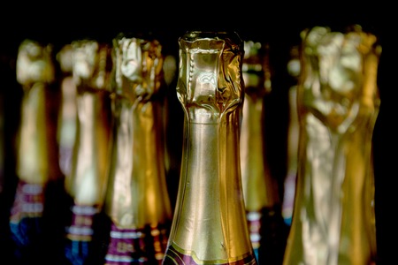 Champagne bottles in the wine store.の写真素材