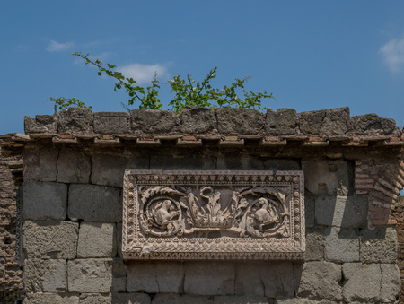 Palatine hill in Rome, Italyの写真素材
