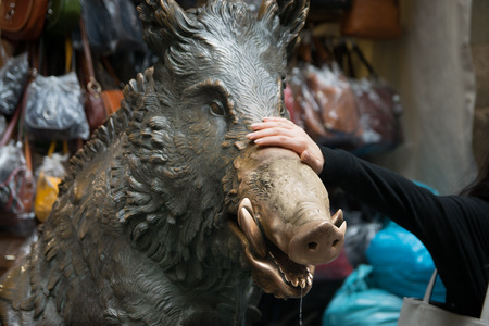 People put a coin in the mouth of bronze boar fountain at Il Mercato Nuovo or the New Market, Florence, Italyの写真素材