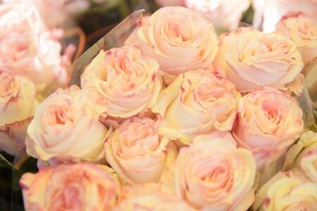 Detail of Beautiful Roses Bouquetの写真素材