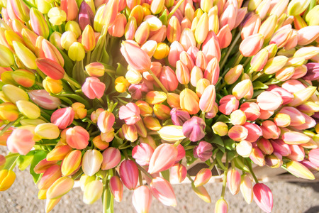 Beautiful bouquet of tulipsの写真素材