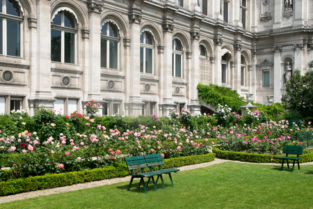 Garden of Roses in Paris, Franceのeditorial素材