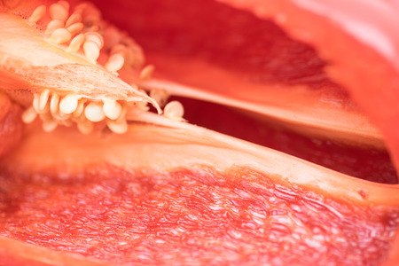 Half red bell pepper detailの写真素材