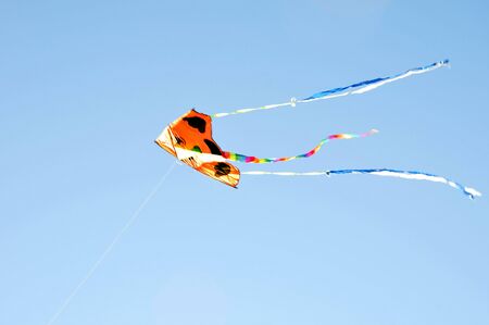 Kite waving against blue sky の写真素材