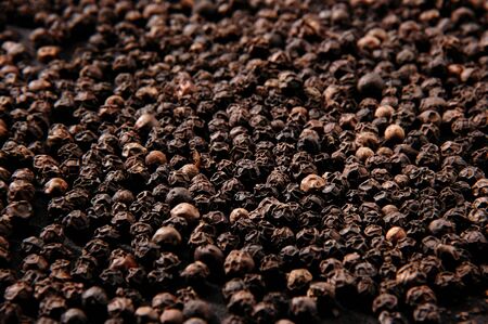 Black Pepper corn full frame shotの写真素材
