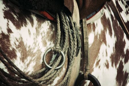 Close up of Horse saddle detailの写真素材