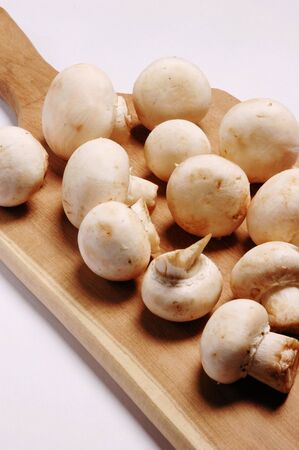 Mushrooms on Wooden Shingle on white backgroundの写真素材