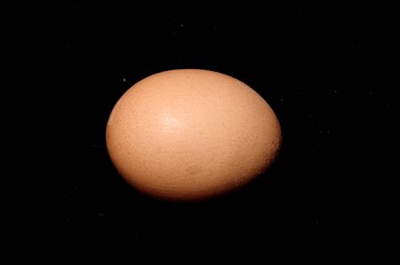 Egg, Close Up against black backgroundの写真素材
