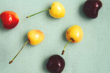 Bright multicolored cherry on light green background. Cherry pattern. Cherries close up. Summer flat...