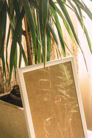 Still life. Blank beige wooden frame and indoor evergreen potted plant. Home officeの写真素材