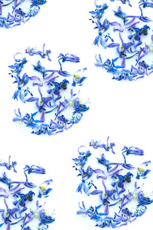 Abstract patterns of bright blue flowers. Flowers in milk. Floral pattern of blue flower petals on...