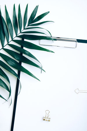 Black clipboard with blank paper, golden and evergreen plant clip with copy spaceの写真素材