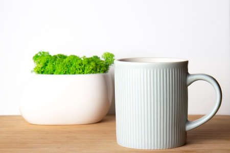 Beautiful white ceramic pot with bright green decorative moss and a blue ceramic cup on a white background