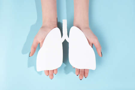 Human hold model of a human lungs made of white paper on a blue background. world kidney dayの写真素材