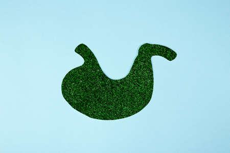 Conceptual image of green grass shaped like human stomach. Model of a human stomach on a blue backgroundの写真素材