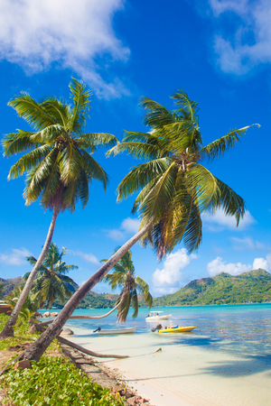 remote tropical beaches and countries. travel conceptの写真素材