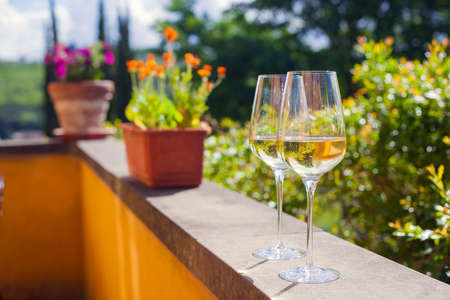 glass of chilled white wine on table over Tuscany backgoundの写真素材