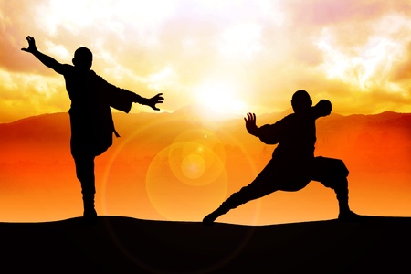 Silhouette illustration of two figures doing martial art stanceの写真素材