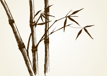 Sketch illustration of bamboo tree のイラスト素材