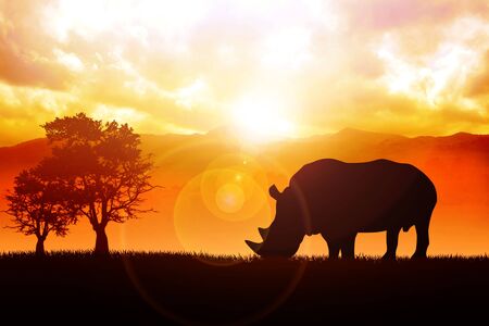 Silhouette illustration of a rhinoの写真素材