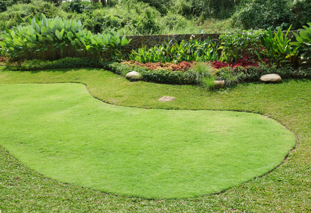 A garden with green grassの写真素材