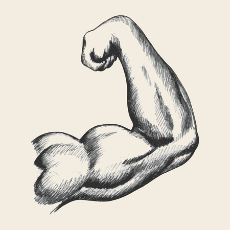 Sketch illustration of muscular human male right arm from back viewのイラスト素材