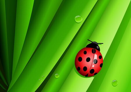 Graphic illustration of a lady bug on green leavesのイラスト素材