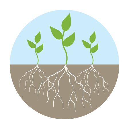 Graphic illustration of young trees with rootのイラスト素材