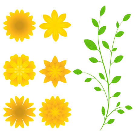 Set of flowers isolated on white backgroundのイラスト素材