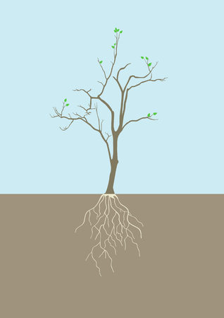 Graphic illustration of tree with rootのイラスト素材