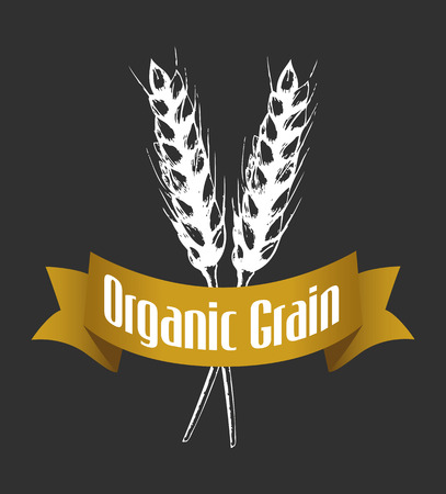 Sketch illustration of wheat on blackのイラスト素材