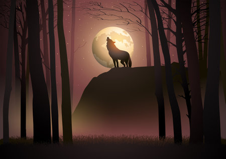 Wolf howling during full moon, vector illustrationのイラスト素材