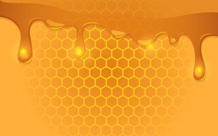 Vector illustration showcasing melting honey drizzling over a honeycomb, perfect for honey product labels, culinary blogs, and food-themed contentのイラスト素材