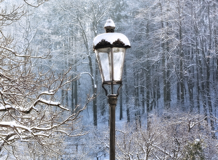 Lamp in park and forest in winterの写真素材