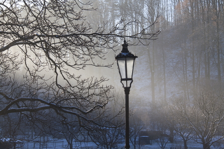 Old lamp in park and winter forest in Stramberk, Moravia, Czech Republicの写真素材
