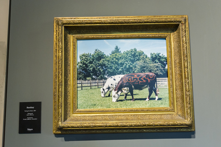 Amsterdam Nederland 23 July 2017: Moco Museum - Banksy Amsterdam Exhibitionのeditorial素材