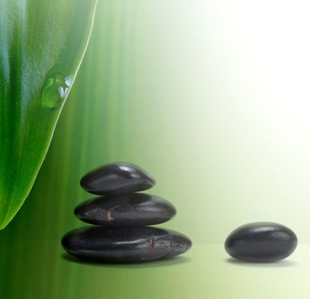green leaf and stonesの写真素材