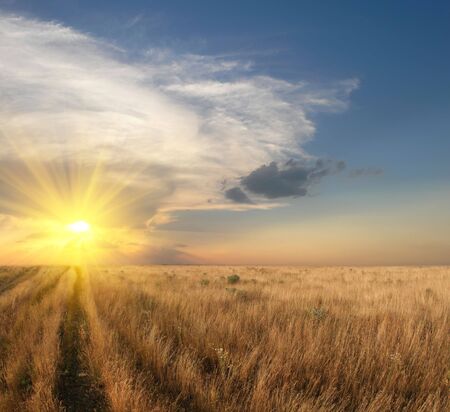 sunset landscapeの写真素材