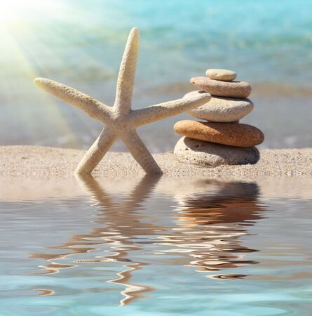 starfish on a beachの写真素材