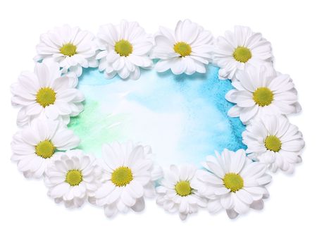 chamomiles backgroundの写真素材