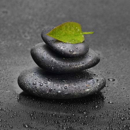 black stone with leafの写真素材