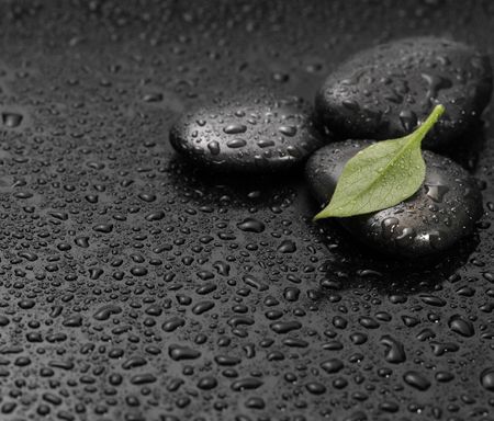 black stone with leafの写真素材