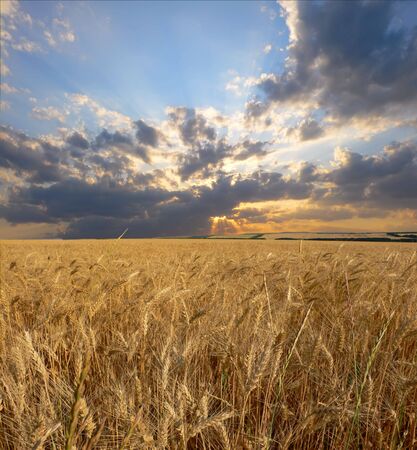 sunset landscapeの写真素材