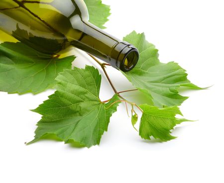 wine bottle and green grape vineの写真素材