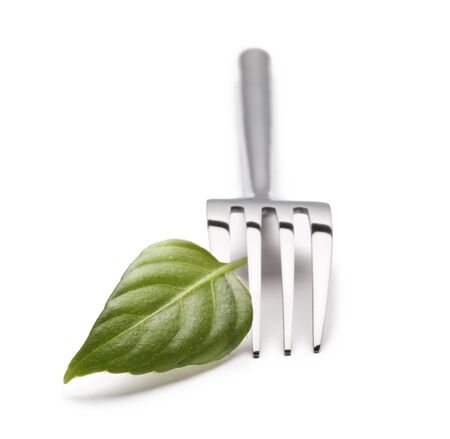 fork with green leafの写真素材