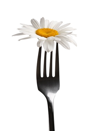 fork with chamomile flowerの写真素材