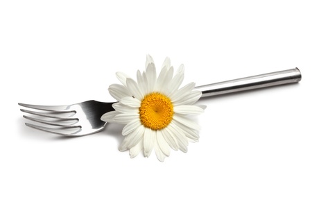 fork with chamomile flowerの写真素材