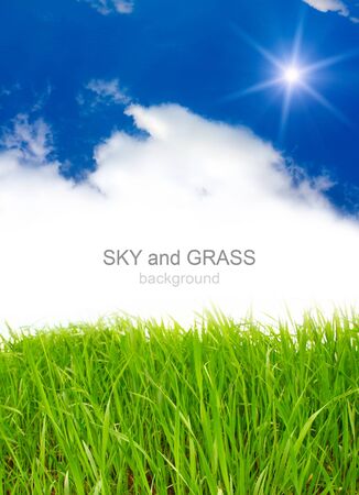 sky and grassの写真素材