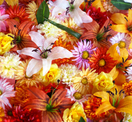 flower backgroundの写真素材