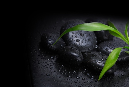 black stone with leafの写真素材